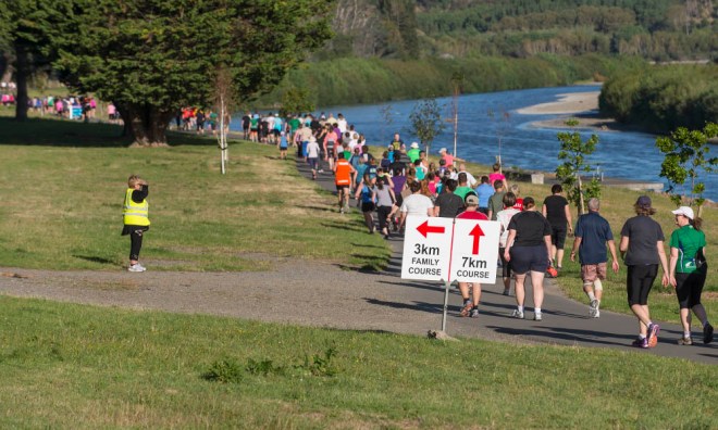 Just after crossing under the Manawatu bridge, you have the choice of going straight along the 7km course, or turning left on the 3km family route.